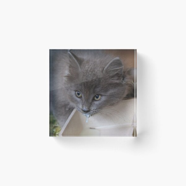 Item preview, Barn Baby designed and sold by Gralyn Boyd.