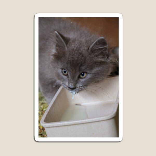 Item preview, Barn Baby designed and sold by Gralyn Boyd.