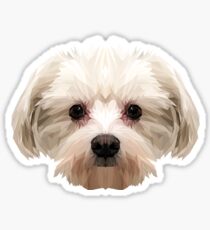 Maltese dog. Sticker
