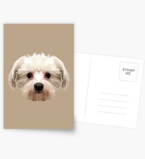 Maltese dog. Postcards