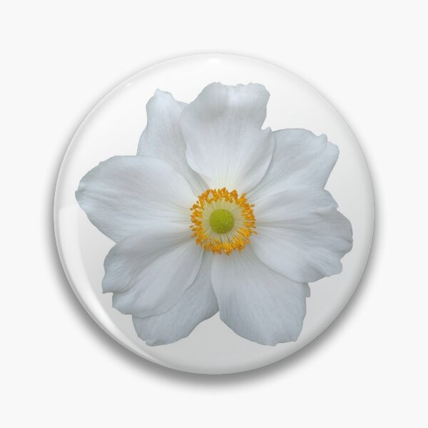 Item preview, White Anemone Flower Still Life Floral Photography designed and sold by CottoVerdi.