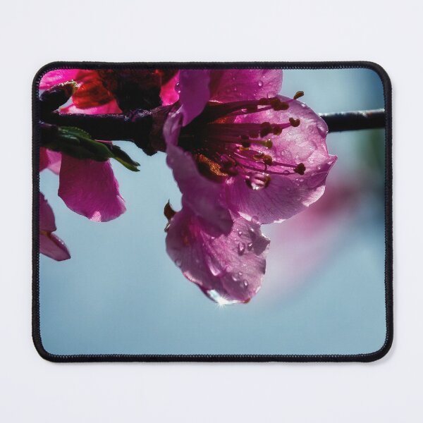Item preview, Peach Flower Raindrop Captures the Sun designed and sold by Thymely.