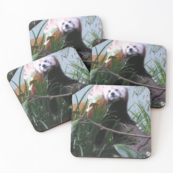 Item preview, Red Panda large pic. designed and sold by ginnymac.