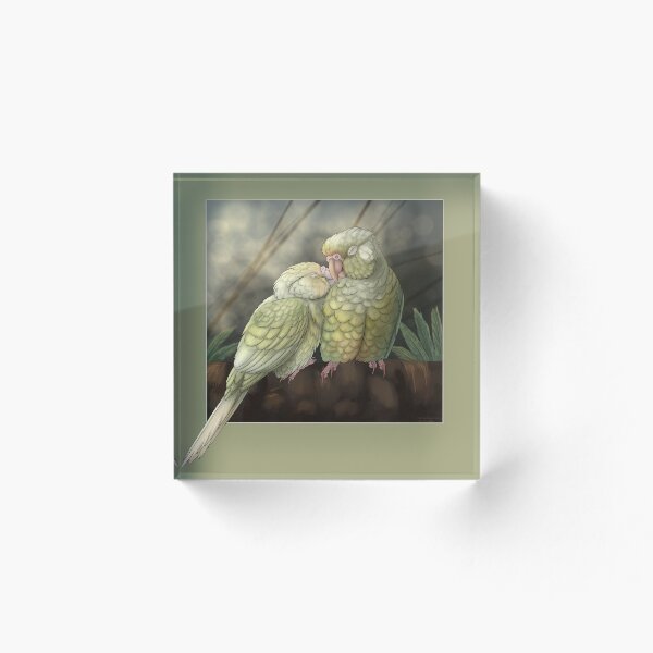 Item preview, Cuddling conures designed and sold by DragonArtist15.
