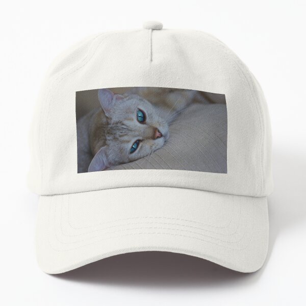 Ollie The Polite Cat Cap for Sale by donodono