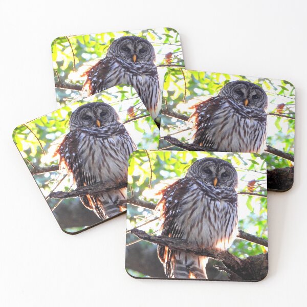 Item preview, Barred Owl at Sunset  designed and sold by Barnbk02.