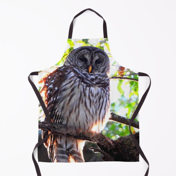 Item preview, Barred Owl at Sunset  designed and sold by Barnbk02.