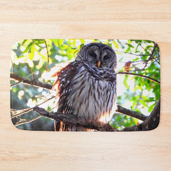 Item preview, Barred Owl at Sunset  designed and sold by Barnbk02.