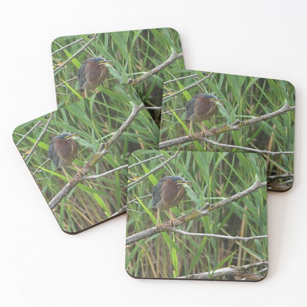 Item preview, Green Heron at a marsh designed and sold by PaulKPhoto.