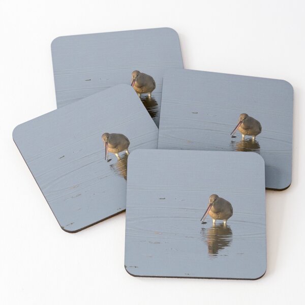 Item preview, Hudsonian Godwit designed and sold by PaulKPhoto.