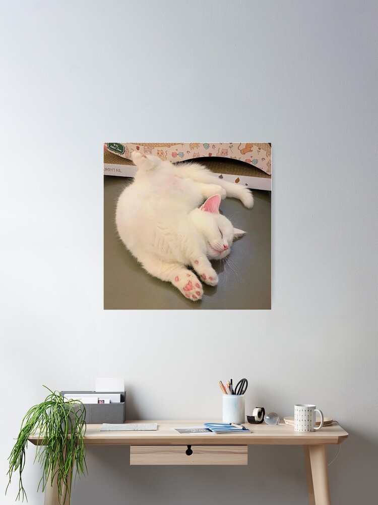 Thumbnail 1 of 3, Poster, Cute Cat designed and sold by MANU1sss.
