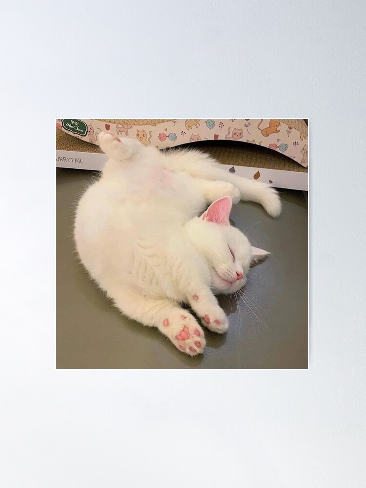 Thumbnail 2 of 3, Poster, Cute Cat designed and sold by MANU1sss.