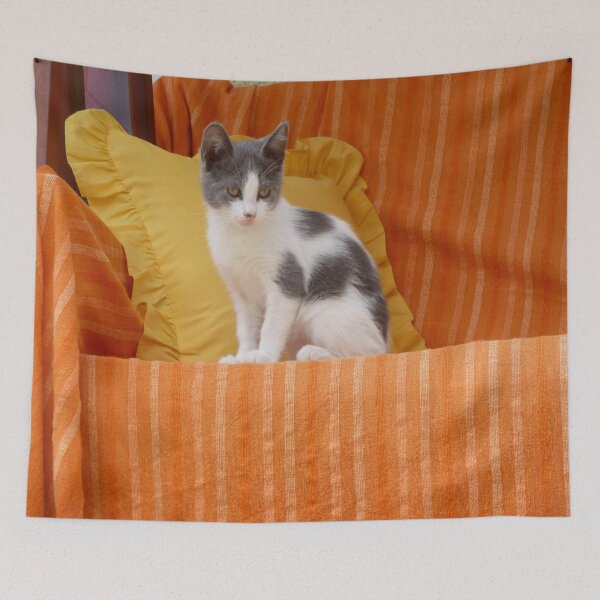 Item preview, Cute Kitty designed and sold by Vicki Spindler (VHS Photography).