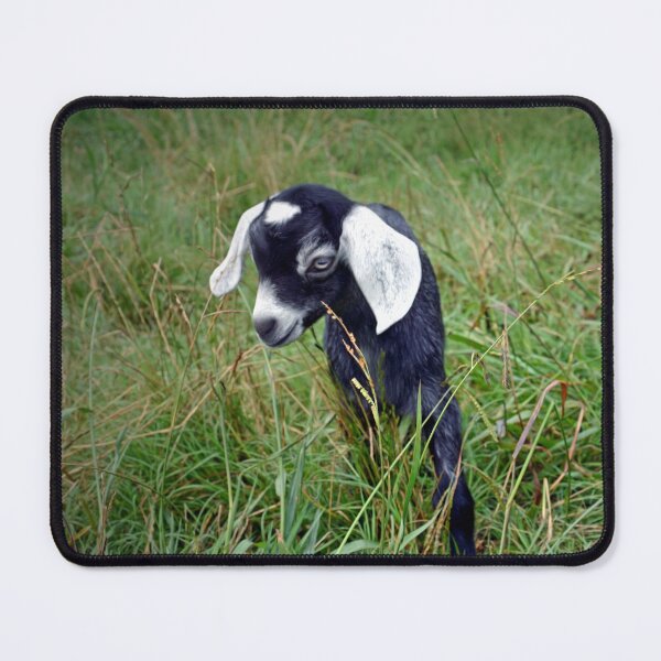 Item preview, Baby Goat designed and sold by Savannah Gibbs.
