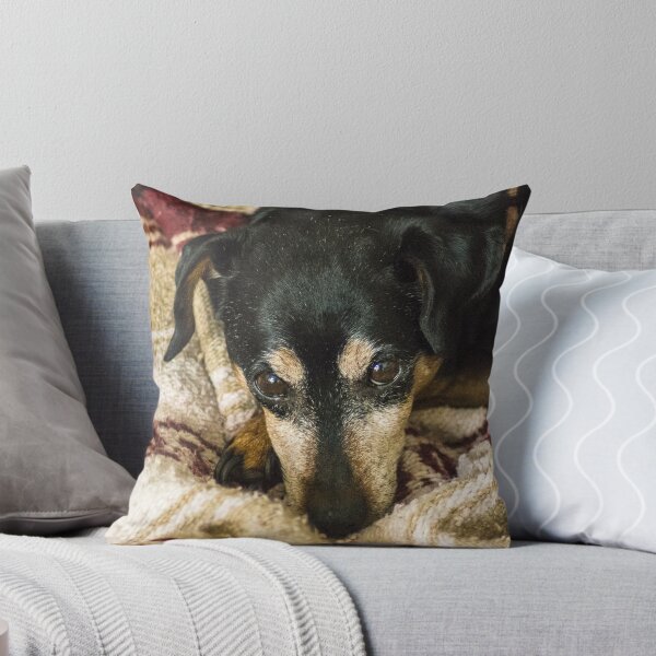 Item preview, Major on his blanket designed and sold by Bryan Spellman.