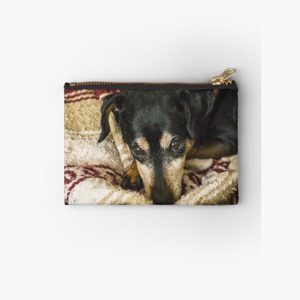 Item preview, Major on his blanket designed and sold by Bryan Spellman.