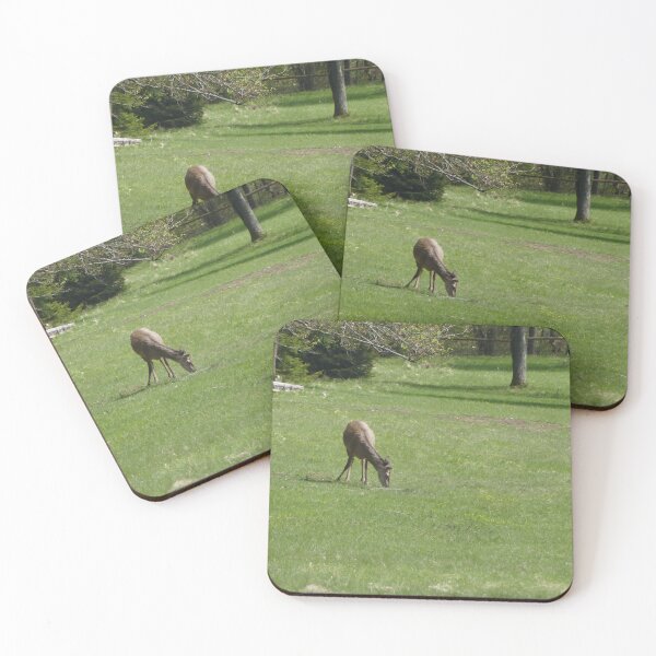 Item preview, wildlife Park designed and sold by Alfi1980.