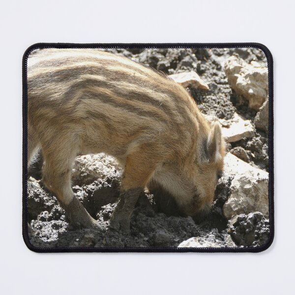 Item preview, little wild boar designed and sold by Alfi1980.