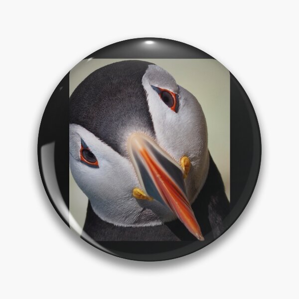 Item preview, An Inquisitive Puffin   designed and sold by KIINcreations.
