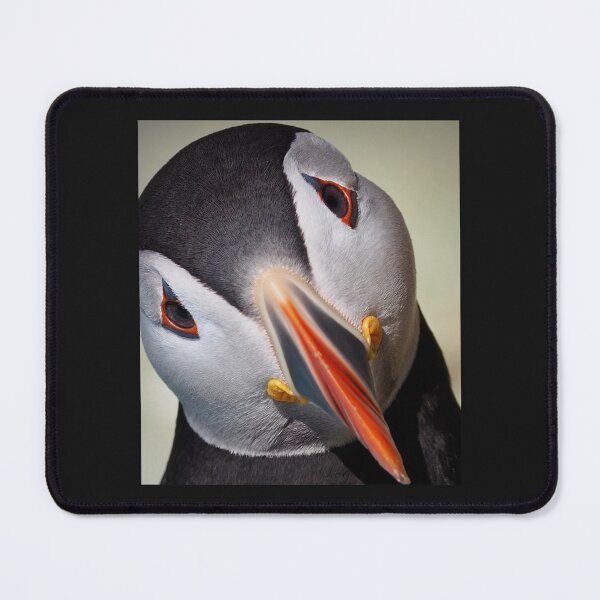 Item preview, An Inquisitive Puffin   designed and sold by KIINcreations.