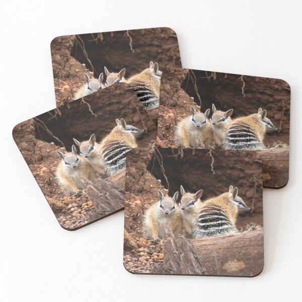Item preview, Numbats - The Three Amigo's designed and sold by gwenthewren.