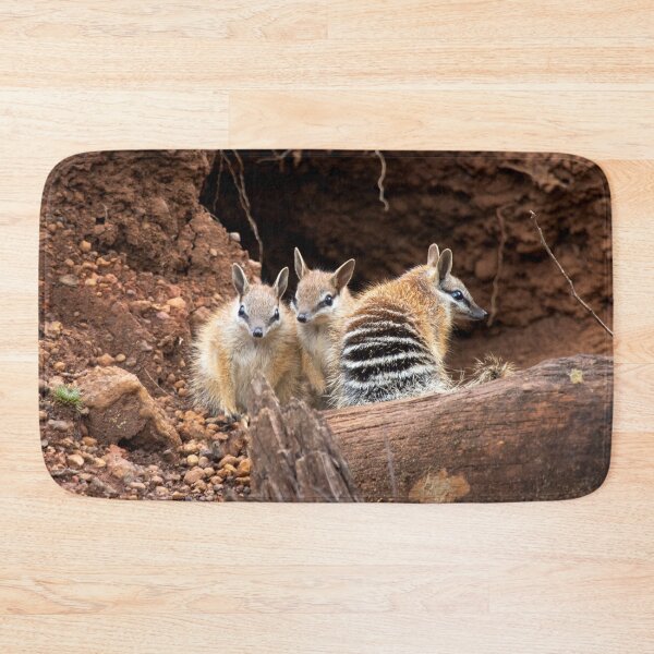 Item preview, Numbats - The Three Amigo's designed and sold by gwenthewren.