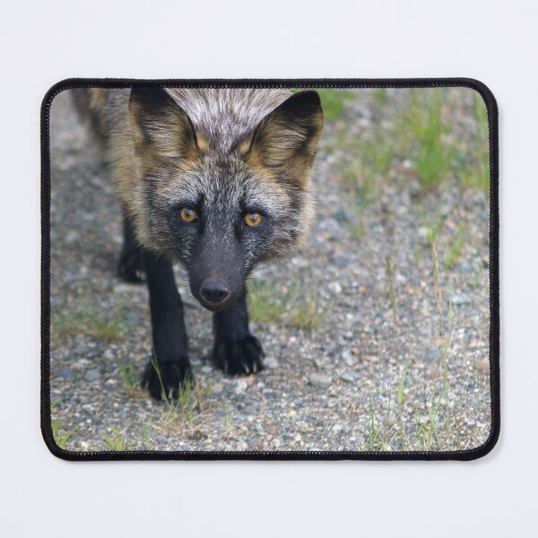 Item preview, Here's Lookin' at You designed and sold by Amber Graham (grahamedia).
