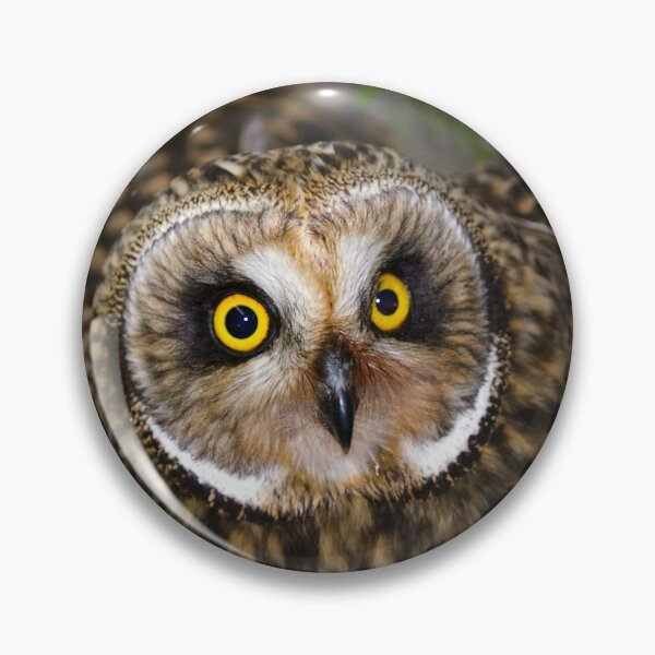 Item preview, Short-eared Owl: Intensive-Eyed designed and sold by Amber Graham (grahamedia).