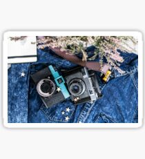 Old vintage cameras. Analogue photography. For photography lovers Sticker