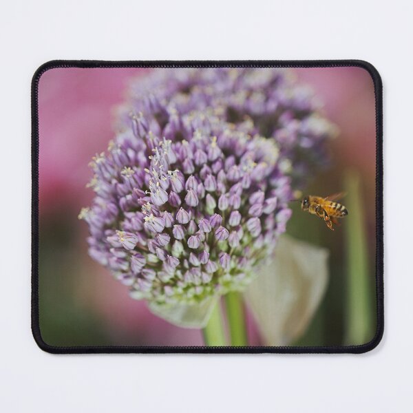 Item preview, Bee Incoming For Garlic Flower designed and sold by Joy Watson - Natural Light Photography .