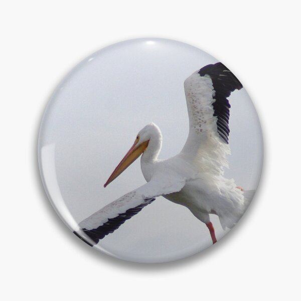 Item preview, Pelican! designed and sold by Amber Graham (grahamedia).