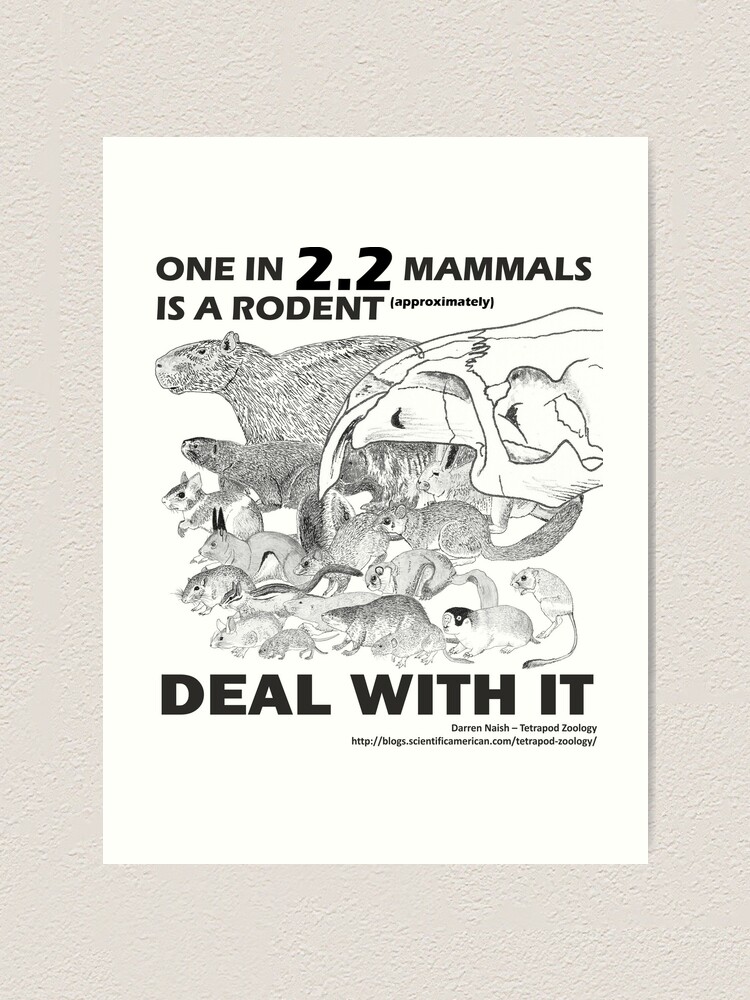 Alternate view of There are a lot of rodents Art Print