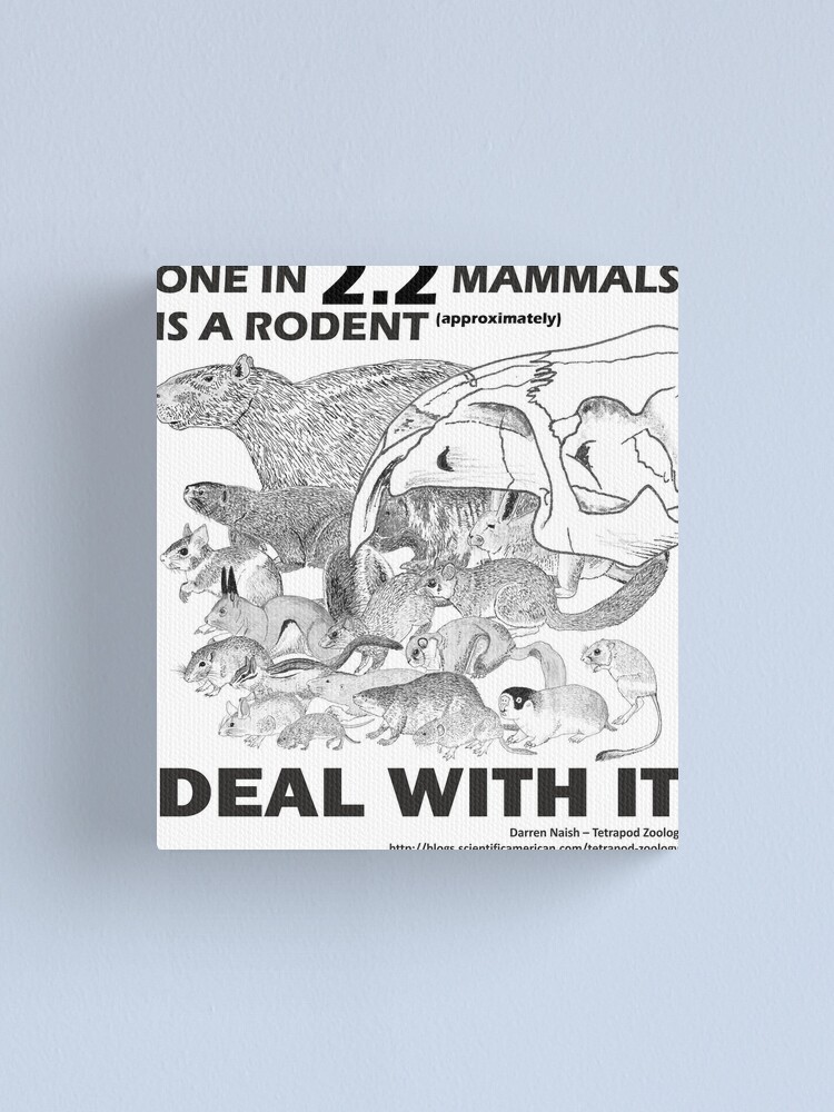 Alternate view of There are a lot of rodents Canvas Print
