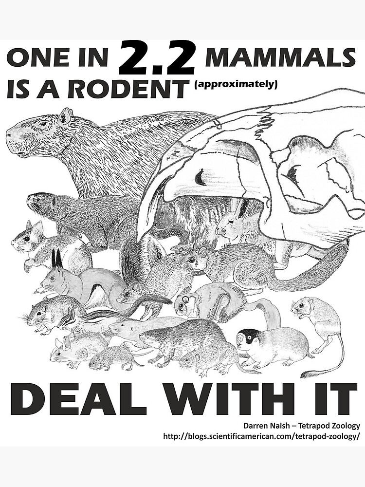 There are a lot of rodents by TetZoo