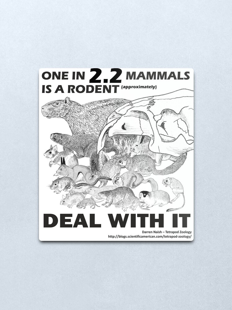 Alternate view of There are a lot of rodents Metal Print