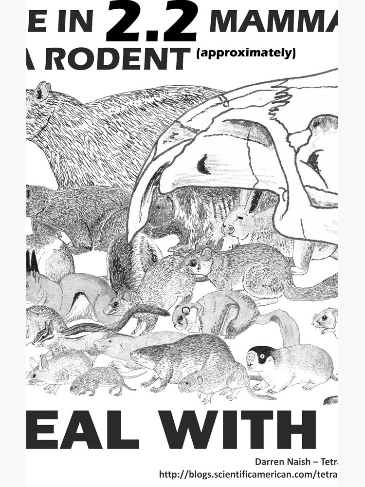 There are a lot of rodents by TetZoo