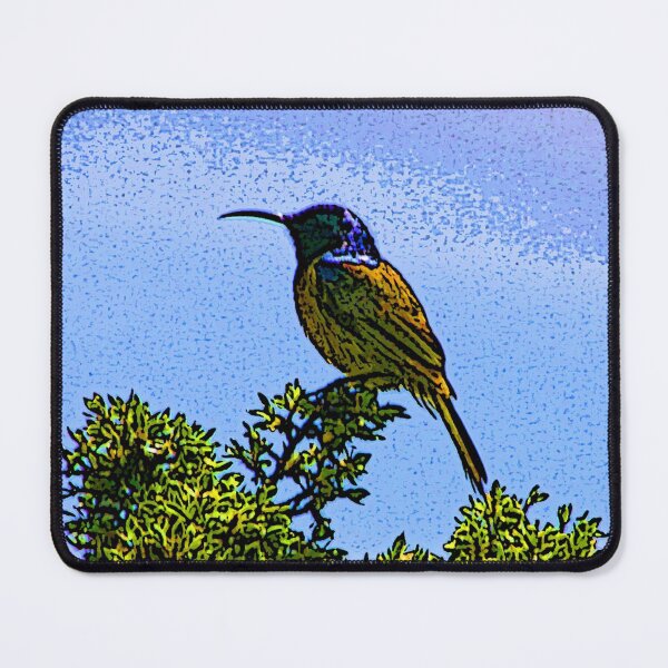 Item preview, Orange brested Sunbird designed and sold by Greengardens36.