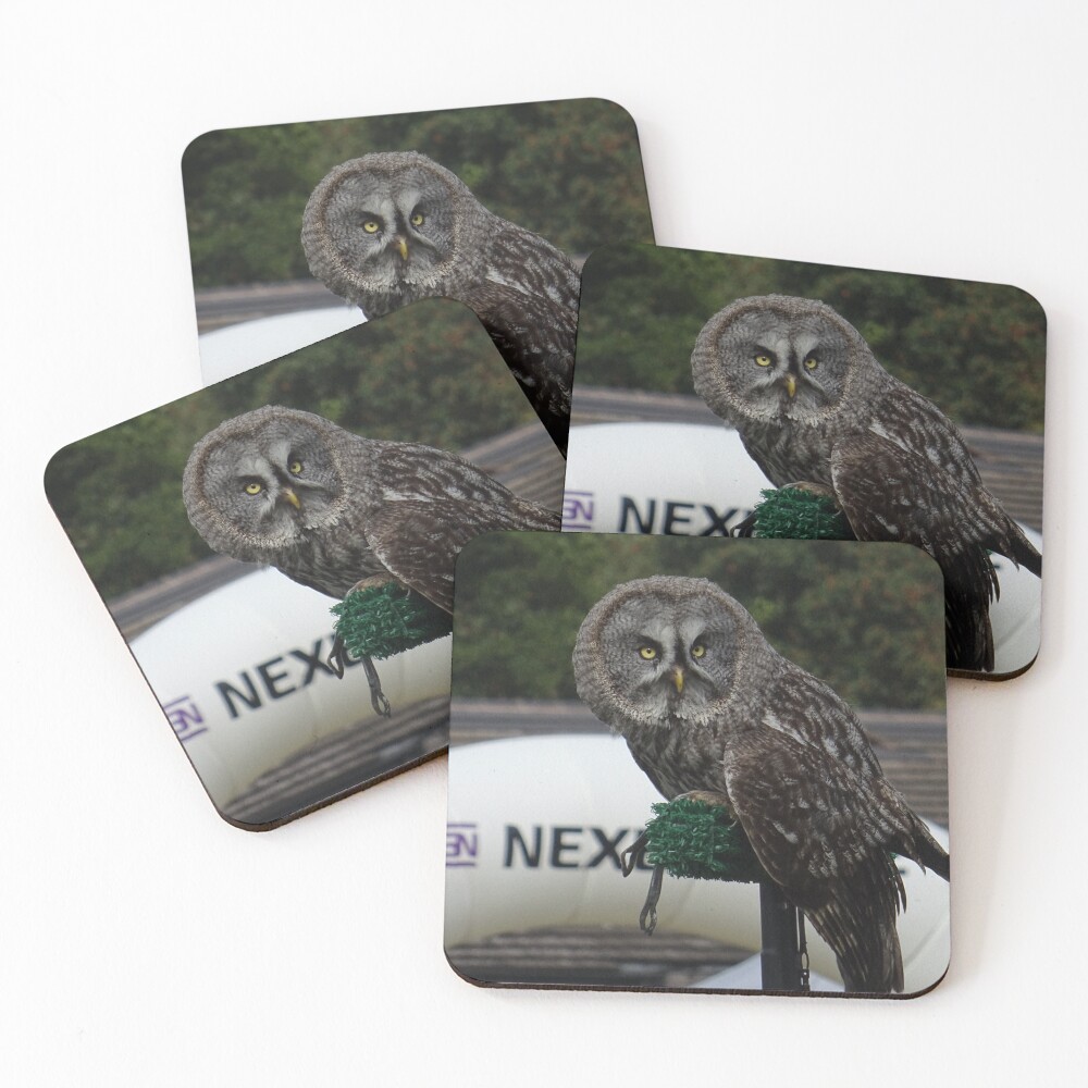 Item preview, Coasters (Set of 4) designed and sold by Rorymacve.