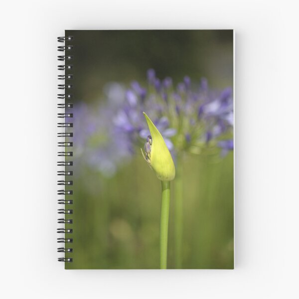 Item preview, Agapanthus Bud Over Her Blooms  designed and sold by Joy Watson - Natural Light Photography .