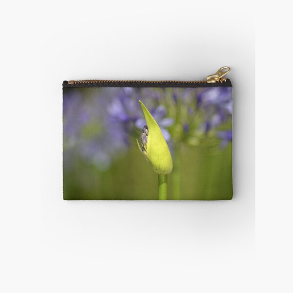 Item preview, Agapanthus Bud Over Her Blooms  designed and sold by Joy Watson - Natural Light Photography .