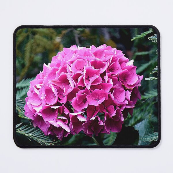 Item preview, Deep Pink Summer Hydrangea Photo with Digital Effects designed and sold by SeaChangeDesign.