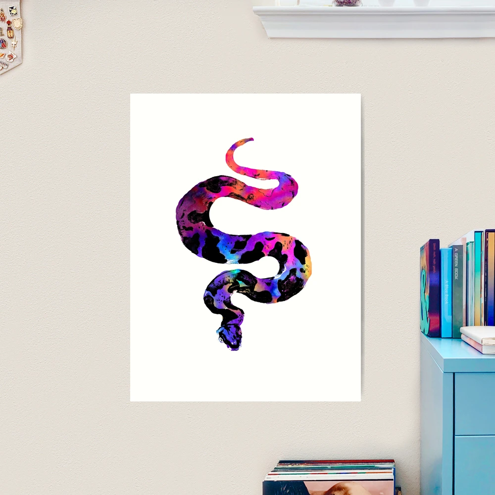 Rainbow Snake