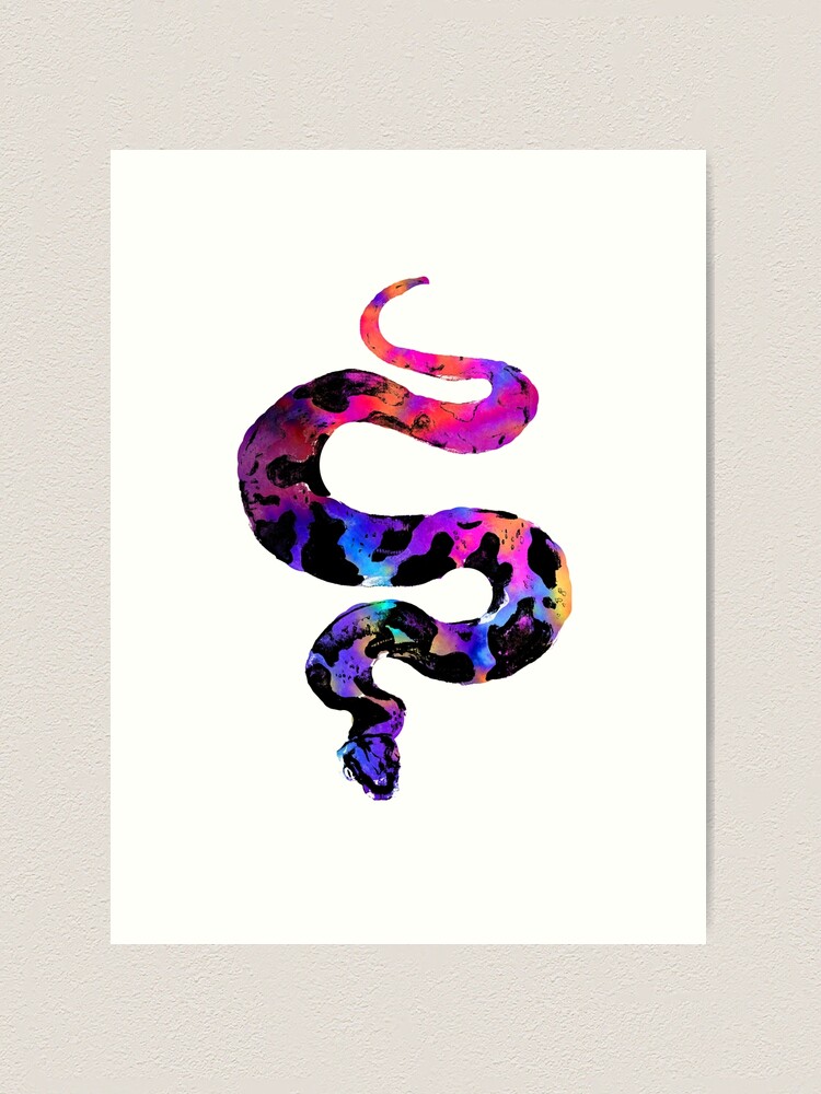 Rainbow Snake