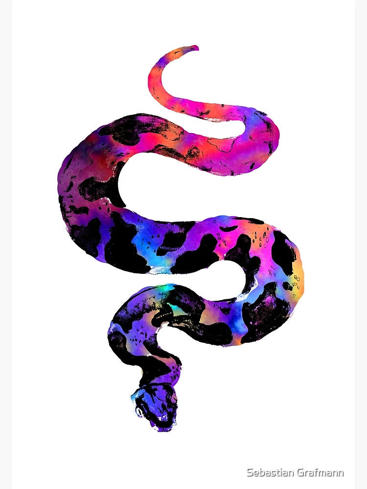 Rainbow Snake Art Print for Sale by Sebastian Grafmann