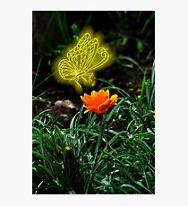 shining Photographic Print
