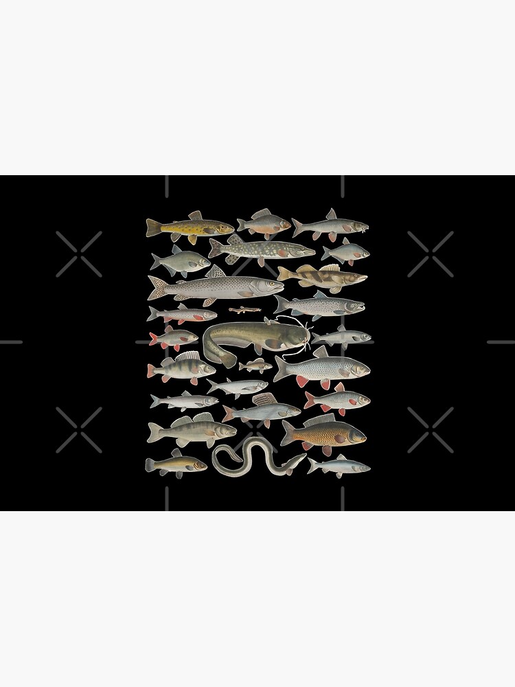 Freshwater Fish River Fish Lake Fish Angler Fisherman Poster for Sale by  TheAplus