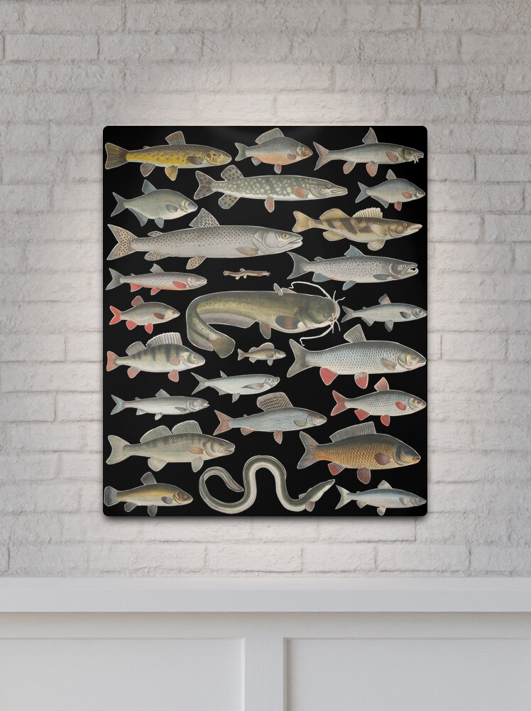 Aluminum Trout Artwork. Fly Fishing Decor. Great Christmas Gift for  Fisherman. Outdoor Art. River Fishing 