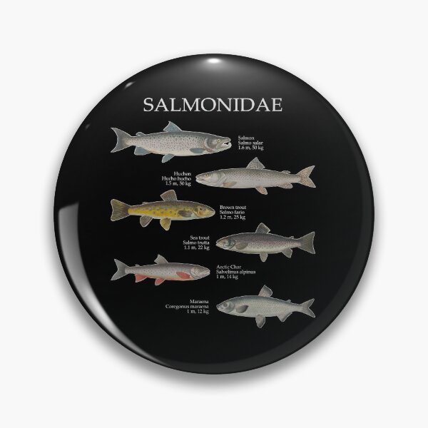 Item preview, Salmonids Salmonidaee Trout Salmon Maraena Fly Fishing designed and sold by TheAplus.