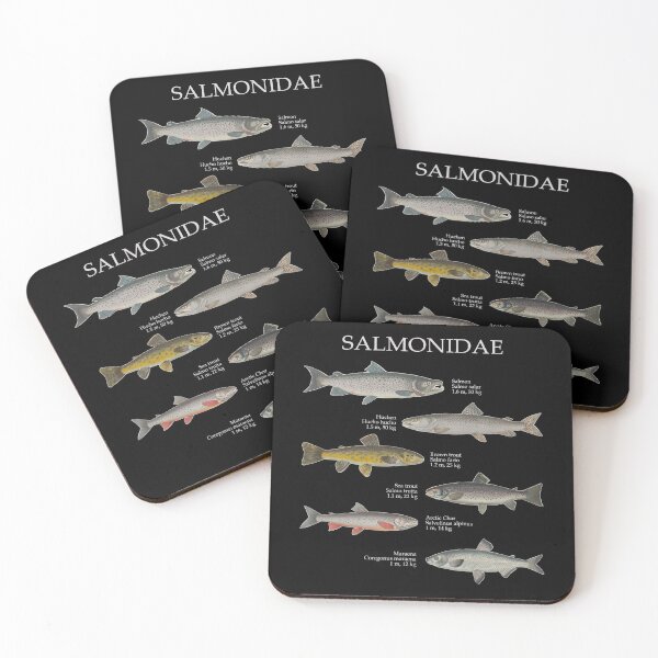 Item preview, Salmonids Salmonidaee Trout Salmon Maraena Fly Fishing designed and sold by TheAplus.
