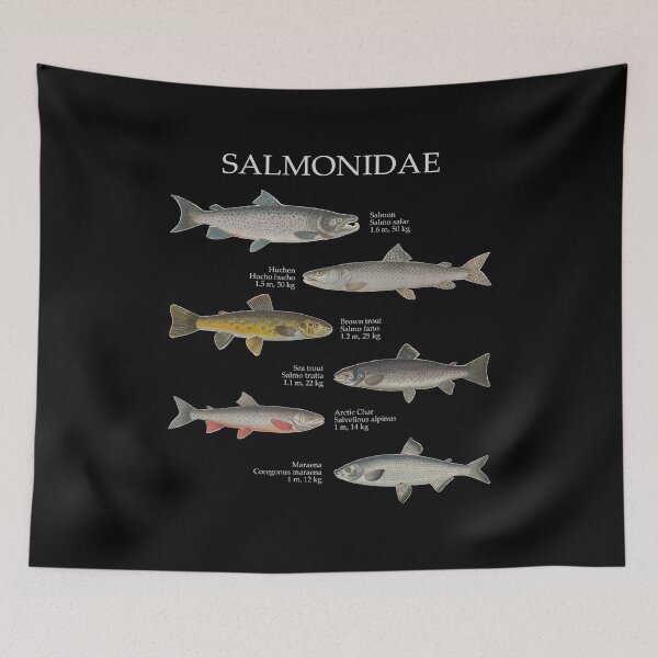 Item preview, Salmonids Salmonidaee Trout Salmon Maraena Fly Fishing designed and sold by TheAplus.
